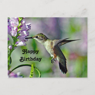 Carte Postale Oiseau rose de la flore photo Anniversaire