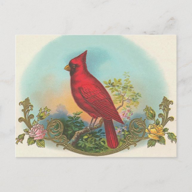 Carte Postale Oiseau rouge (Devant)