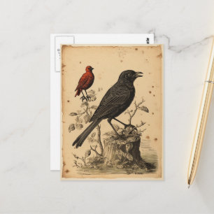 Carte Postale Oiseau Rouge et Corbeau de Style Ancien