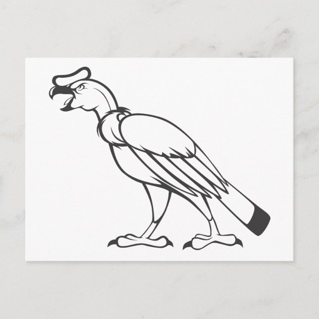 Carte Postale Oiseau sauvage de condor andin en noir et blanc (Devant)