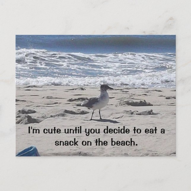 Carte Postale Oiseau sournois sur la plage (Devant)