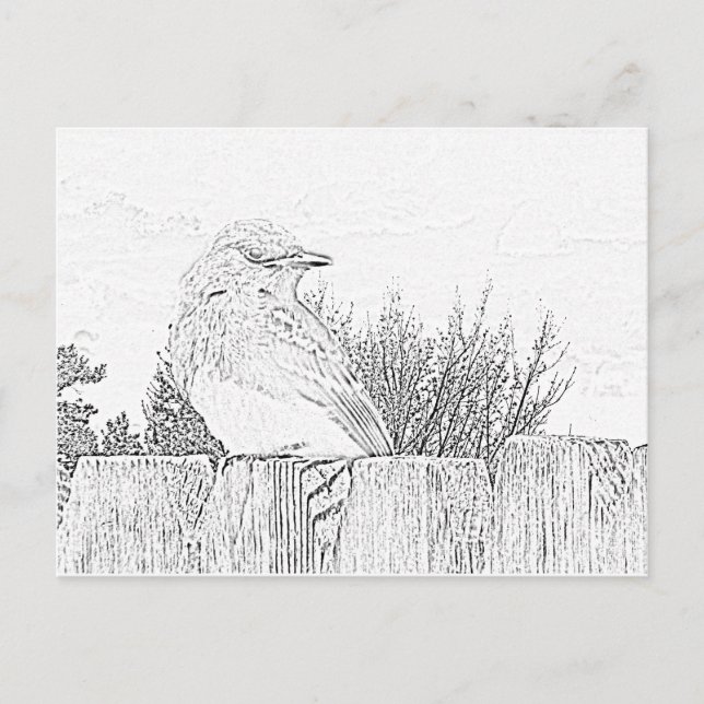 Carte postale - Oiseau sur la clôture à couleur (Devant)