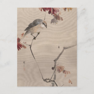 Carte Postale Oiseau sur l'araignée d'observation des branches  