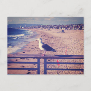Carte Postale Oiseau Sur Un Rail