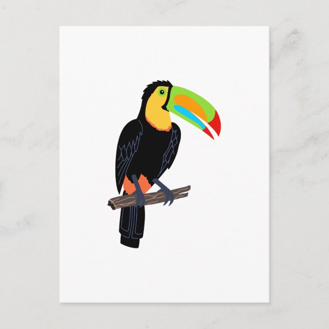 CARTE POSTALE OISEAU TOUCAN (Devant)