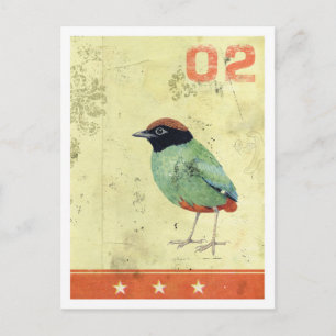 Carte postale 'Oiseau vert'