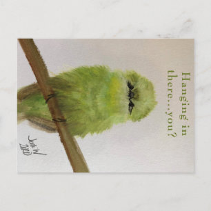 Carte postale Oiseau Vert "Accroché là-dedans...vo