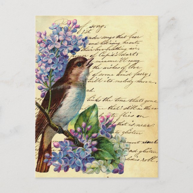 Carte Postale Oiseau victorien et typographie I (Devant)