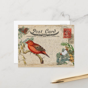 Carte postale Oiseau vintage