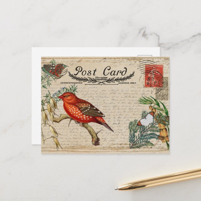 Carte postale Oiseau vintage (Devant/Arrière en situation)