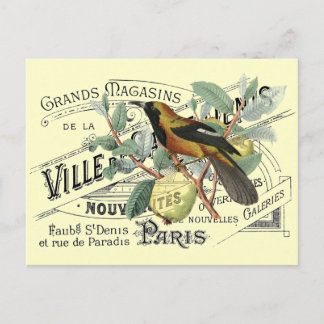 Carte Postale Oiseau vintage dans l'arbre fruitier Ephemera Coll