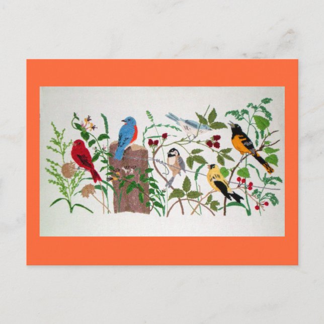 Carte Postale Oiseaux (Devant)