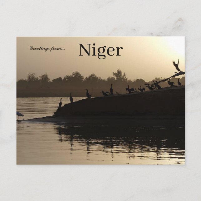 Carte Postale Oiseaux à Niamey Niger (Devant)