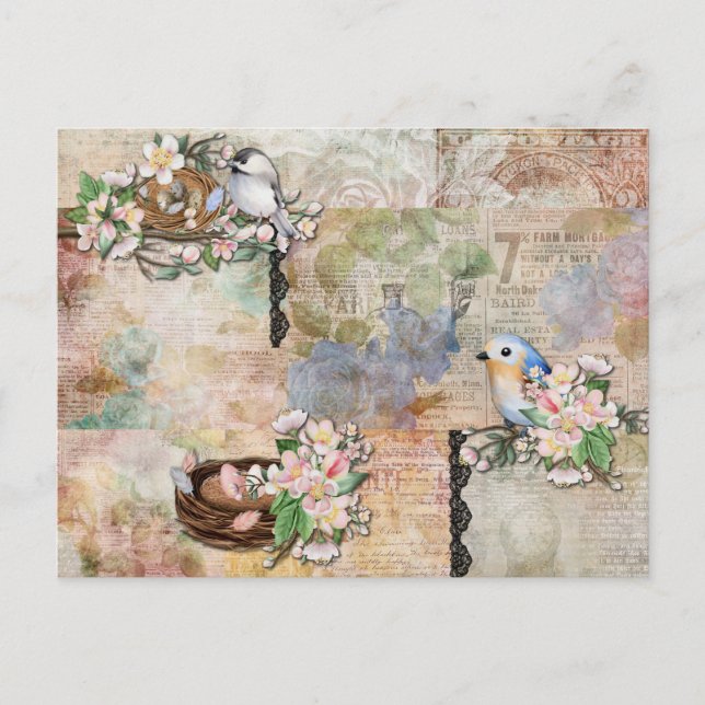 Carte Postale Oiseaux anciens et collage d'éphémères (Devant)