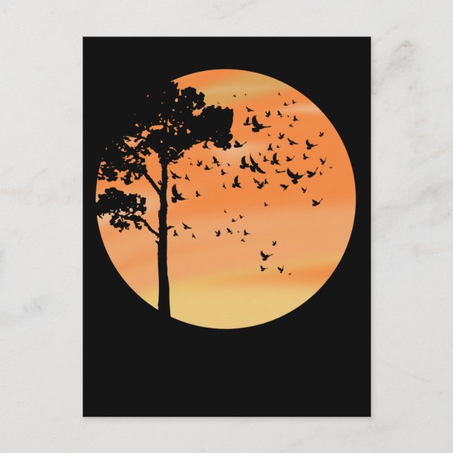 Carte Postale Oiseaux Arbre Beau coucher de soleil Nature (Devant)