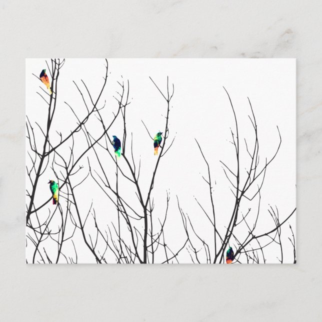 Carte Postale Oiseaux brillants artistiques sur branches d'arbre (Devant)
