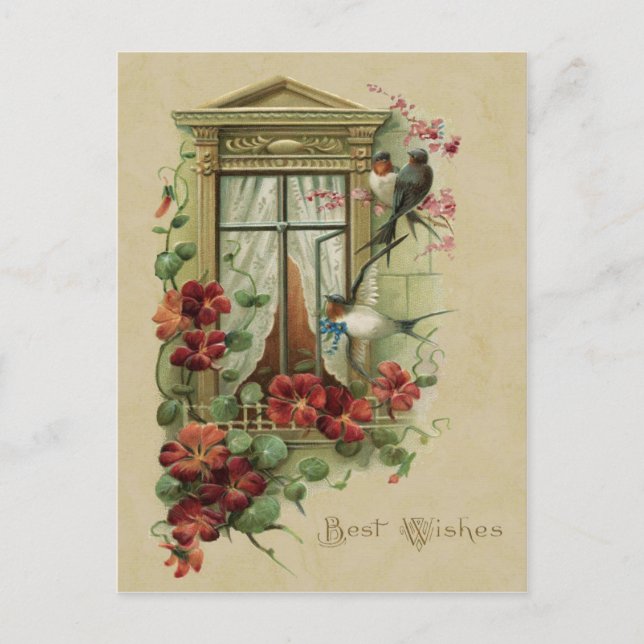 Carte Postale Oiseaux dans la fenêtre Meilleurs voeux Reproducti (Devant)