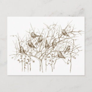 Carte Postale Oiseaux dans l'arbre Stylo Sepia et croquis d'encr
