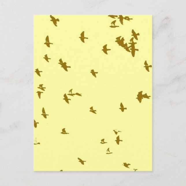 Carte Postale Oiseaux dans le ciel (Devant)