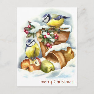 Carte Postale Oiseaux de collection et pots de fleurs de Noël