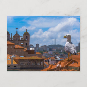 Carte Postale Oiseaux de Goéland Vue des toits du Portugal