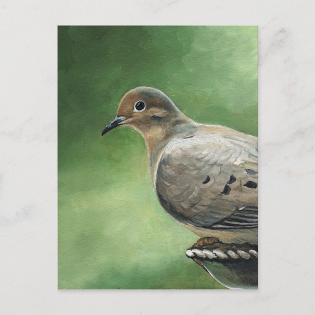 Carte postale Oiseaux de la colombe en deuil (Devant)