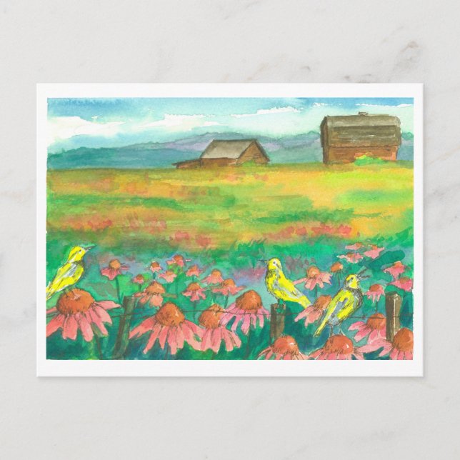Carte Postale Oiseaux de la Médouarche Aquarelle Peinture (Devant)
