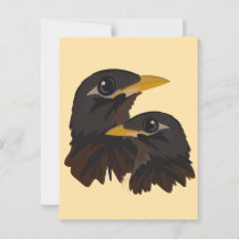 Oiseaux de Mina