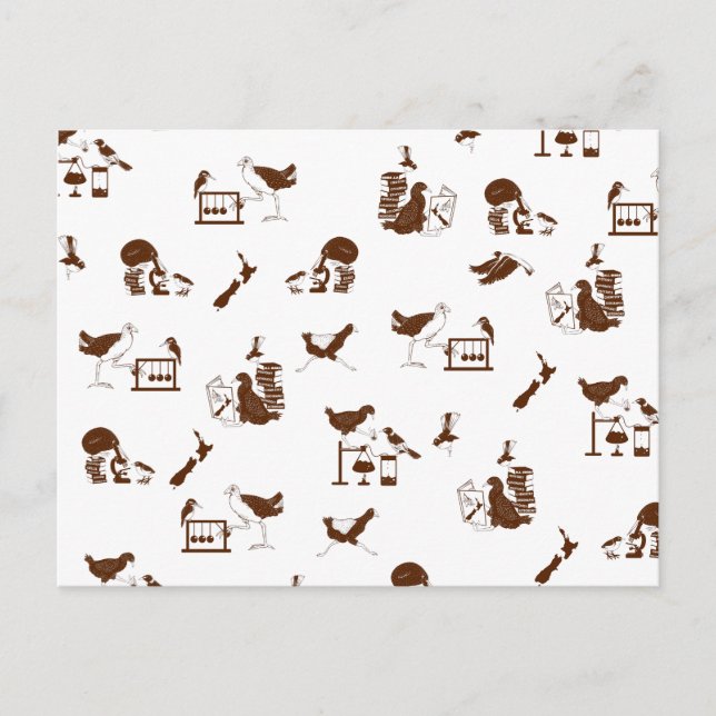 Carte Postale Oiseaux de Nouvelle-Zélande Étudiants en sciences (Devant)