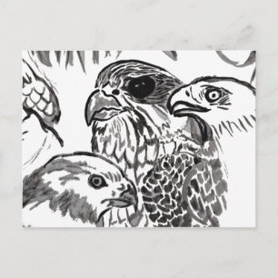 Carte Postale Oiseaux de Prey