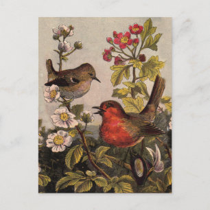 Carte Postale Oiseaux de printemps Robin Oiseaux rouges