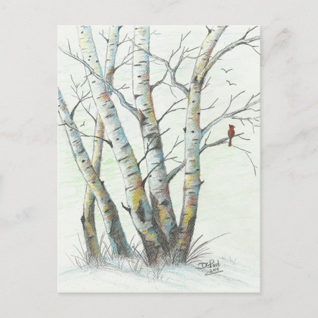 Carte Postale Oiseaux d'hiver Art crayon coloré (Devant)