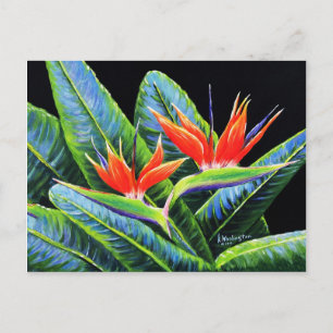 Carte Postale Oiseaux du paradis