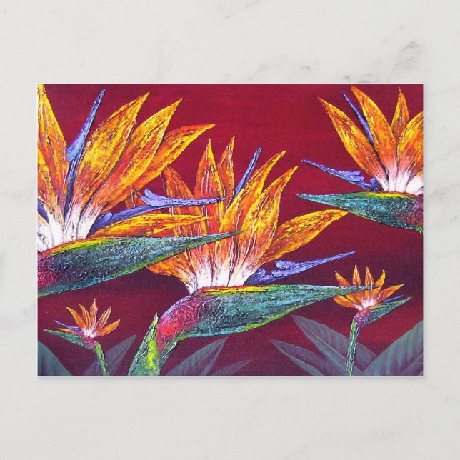 Carte Postale Oiseaux Du Paradis Fleur Tropicale - Multi (Devant)