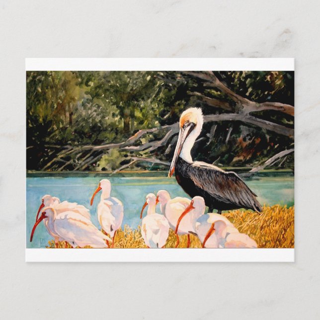 Carte Postale Oiseaux d'une plume (Devant)