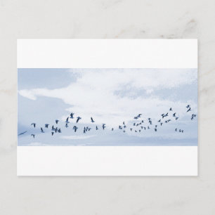 Carte Postale Oiseaux en vol