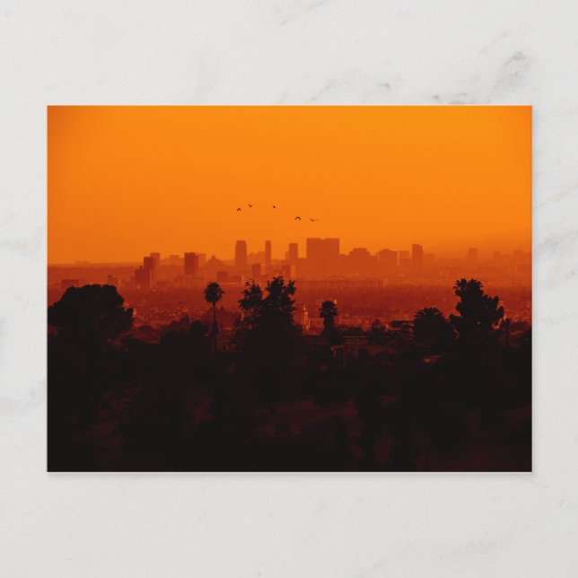 Carte Postale Oiseaux en vol (Los Angeles, CA) (Devant)