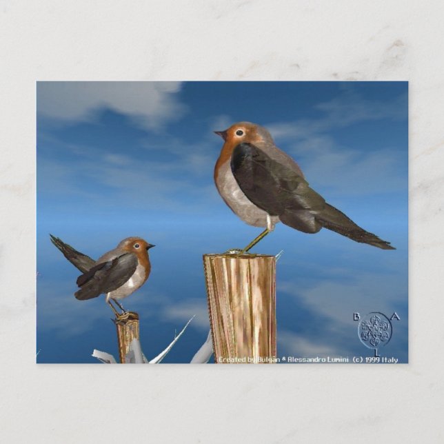 CARTE POSTALE OISEAUX HYPER / ROBIN BREAST ROUGE (Devant)