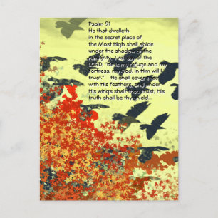 Carte Postale Oiseaux Il te couvrira de ses plumes,