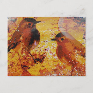 Carte Postale Oiseaux Médias Mixtes
