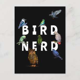 Carte Postale OISEAUX NERD, perroquets, hibou, pigeons, kookabur