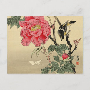 Carte Postale Oiseaux observant un papillon