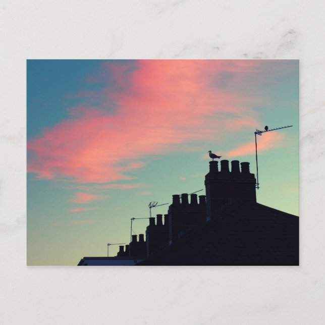 Carte Postale Oiseaux primitifs (Devant)