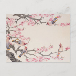 Carte Postale Oiseaux qui chantent au printemps