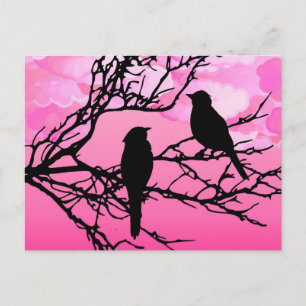 Carte Postale Oiseaux sur une branche, Noir contre Aube Rose