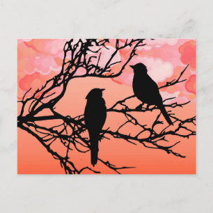 Carte Postale Oiseaux sur une branche, Noir contre le coucher du