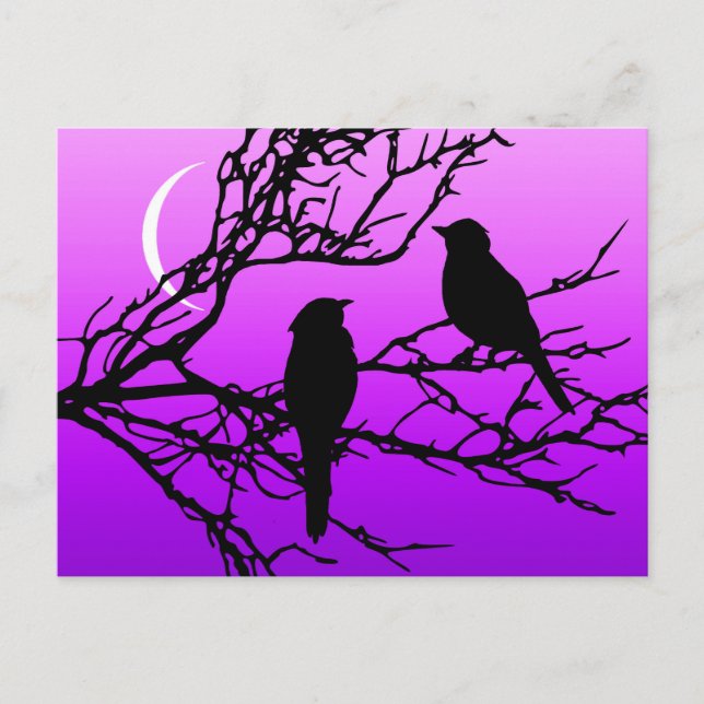 Carte Postale Oiseaux sur une branche, Noir contre le crépuscule (Devant)