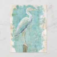 Oiseaux tropicaux | Aigt fixe