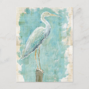 Carte Postale Oiseaux tropicaux   Aigt fixe