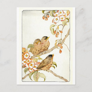 Carte postale Oiseaux vintages
